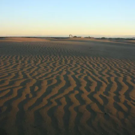 Port De Apartamento *